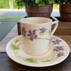 Toscany Japan Tea Cup and Saucer TAHOE Pattern
